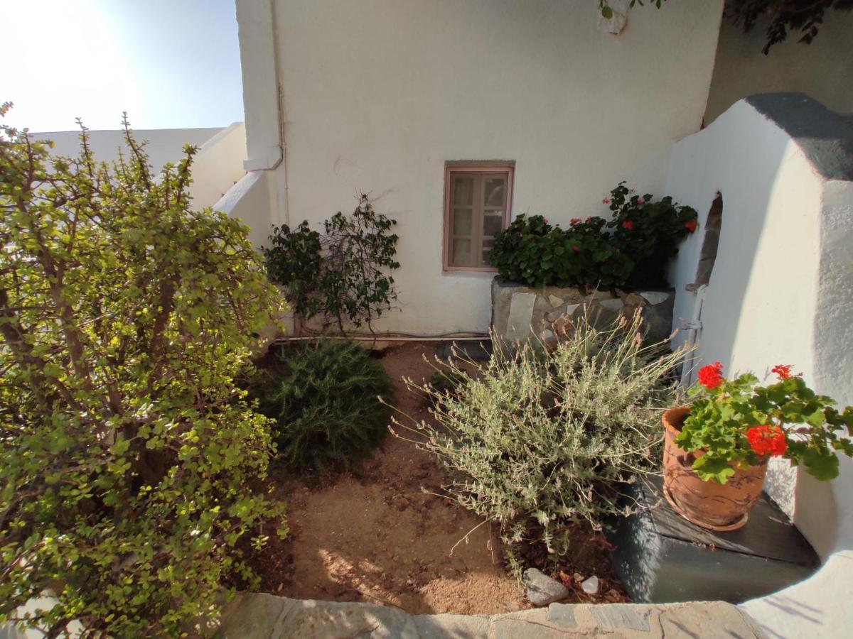 Porto Sikinos Hotel Alopronia 外观 照片